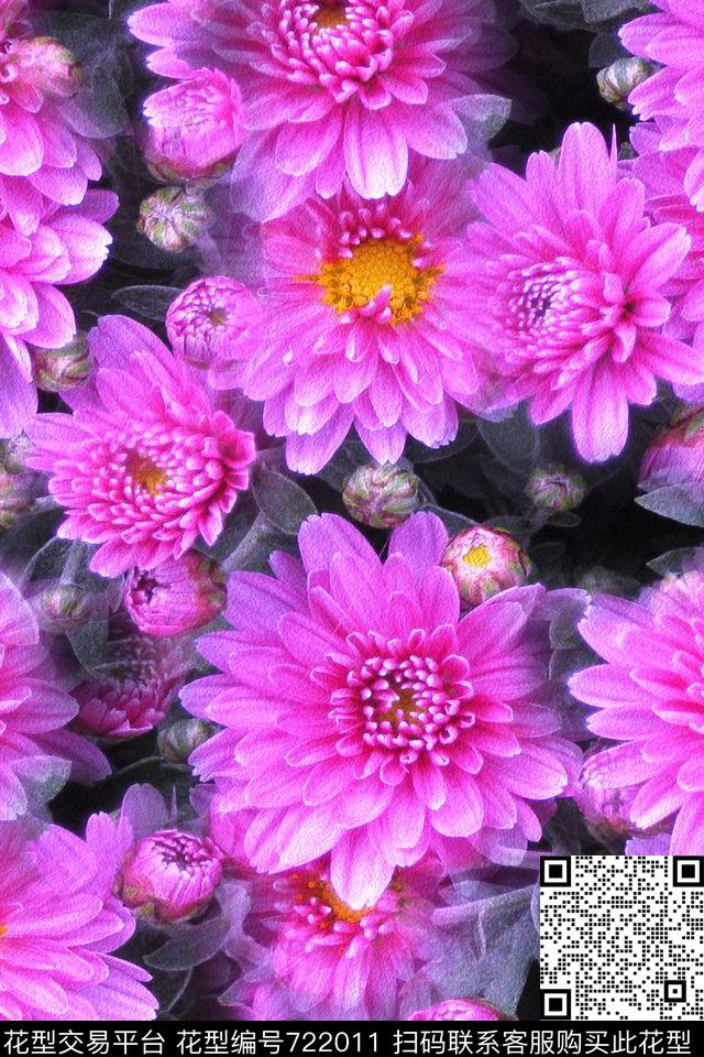 大花花朵花卉数码印花华亿平台下载（图片编号: 722011） - 瓦栏（Walan）