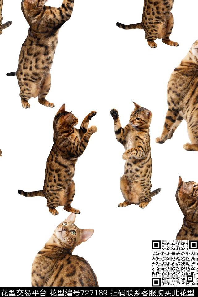 抽象手绘3D动物猫猫数码印花时尚潮流女装裙子动物纹理印花欧美大牌女装印花数码印花华亿平台下载（图片编号: 727189） - 瓦栏（Walan）
