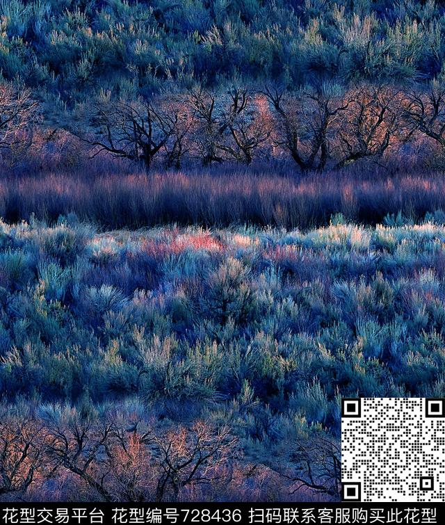 抽象手绘风景森林数码印花是潮流女装裙子长裙彩绘印花欧美复古大牌男装夹克外套纹理印花数码印花华亿平台下载（图片编号: 728436） - 瓦栏（Walan）