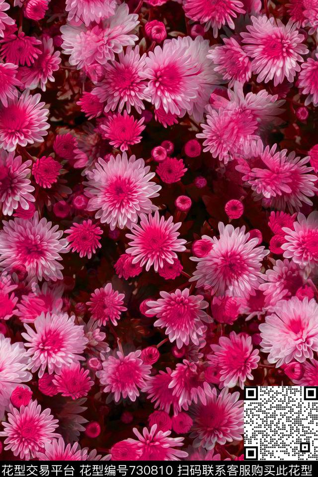 大花花朵花卉数码印花华亿平台下载（图片编号: 730810） - 瓦栏（Walan）