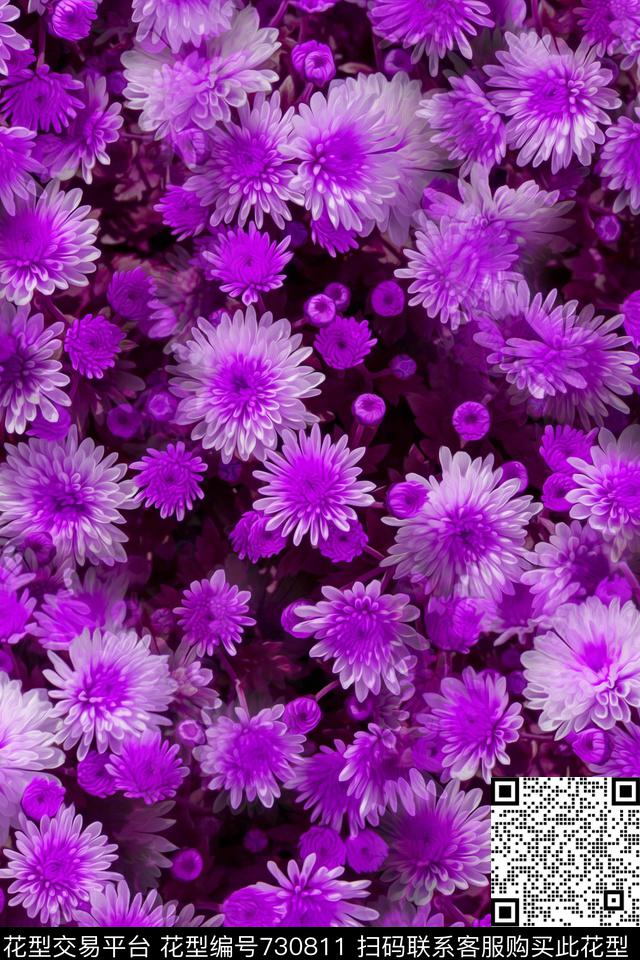 大花花朵花卉数码印花华亿平台下载（图片编号: 730811） - 瓦栏（Walan）