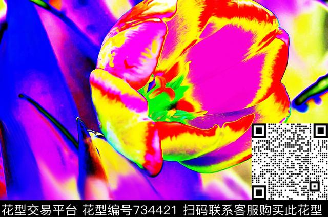 玫瑰大花抽象花数码印花华亿平台下载（图片编号: 734421） - 瓦栏（Walan）