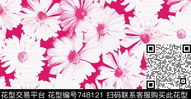 花卉大花菊花传统印花华亿平台下载（图片编号: 748121） - 瓦栏（Walan）