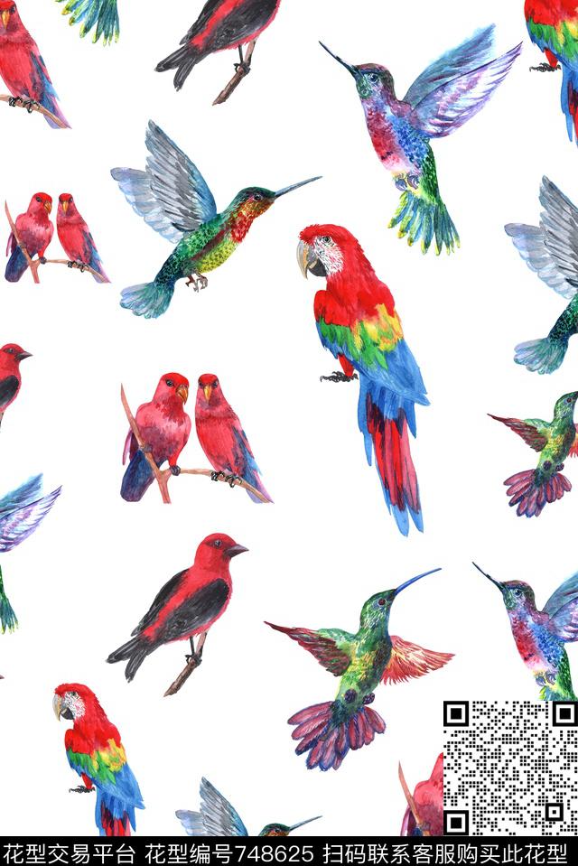 西瓜红鸟鹦鹉数码印花华亿平台下载（图片编号: 748625） - 瓦栏（Walan）