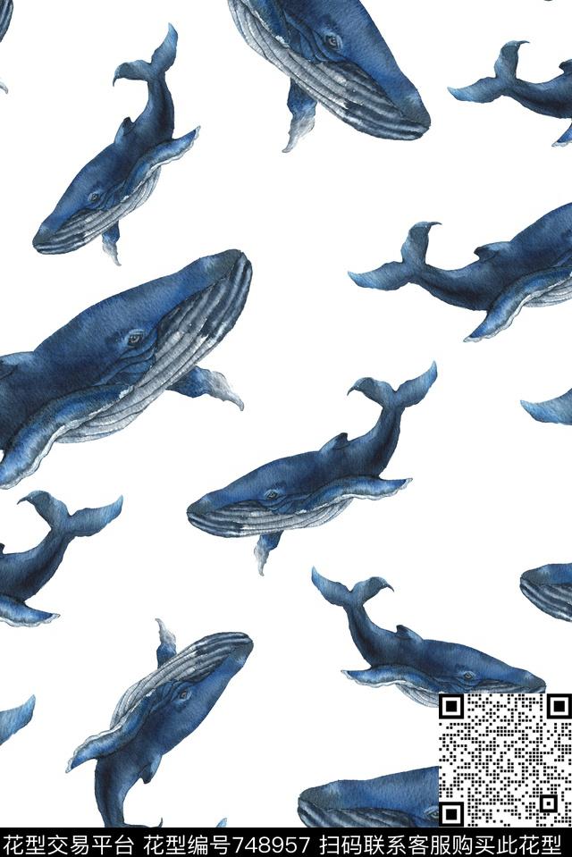 清爽手绘鲸鱼数码印花华亿平台下载（图片编号: 748957） - 瓦栏（Walan）