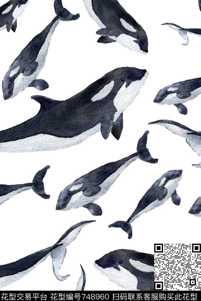 手绘清爽海豚数码印花华亿平台下载（图片编号: 748960） - 瓦栏（Walan）
