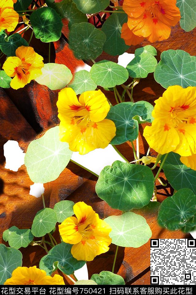 女装花卉抽象数码印花华亿平台下载（图片编号: 750421） - 瓦栏（Walan）