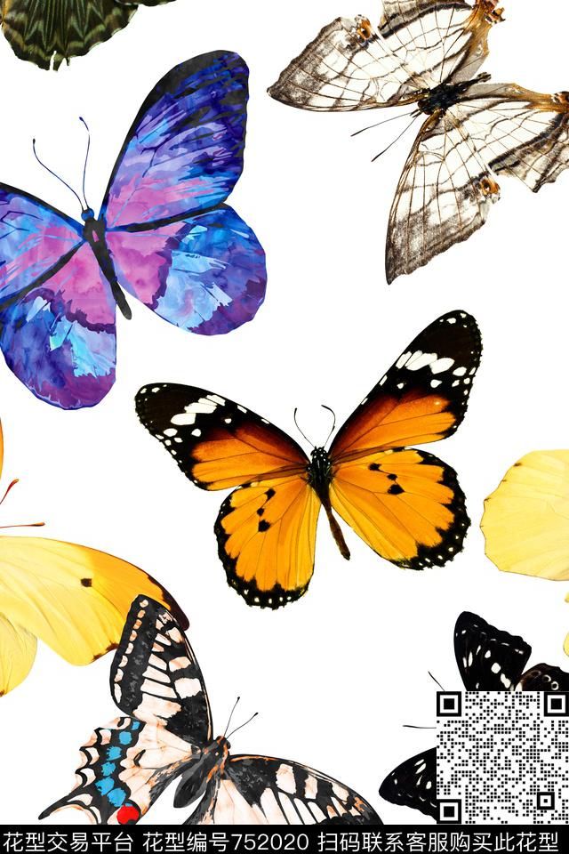 女装蝴蝶数码印花华亿平台下载（图片编号: 752020） - 瓦栏（Walan）