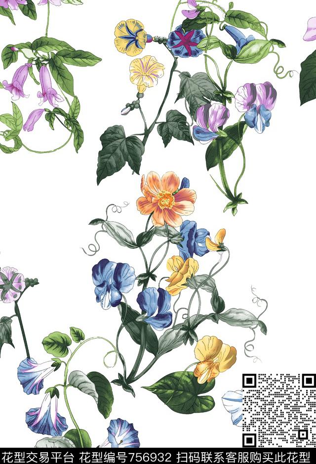 牵牛花春秋华亿平台数码花卉数码印花华亿平台下载（图片编号: 756932） - 瓦栏（Walan）