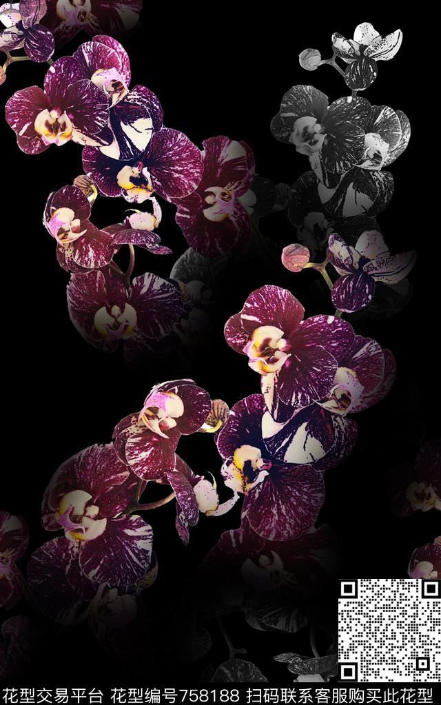 花朵花卉蝴蝶兰数码印花华亿平台下载（图片编号: 758188） - 瓦栏（Walan）