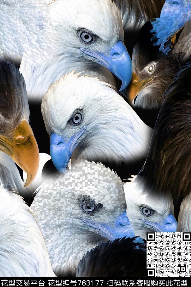 老鹰趣味数码印花华亿平台下载（图片编号: 763177） - 瓦栏（Walan）