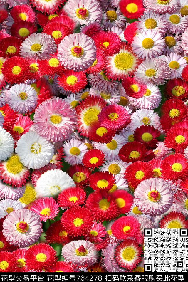 小碎花菊花写实数码印花华亿平台下载（图片编号: 764278） - 瓦栏（Walan）