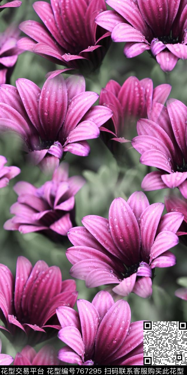 花卉晨露植物风景数码印花华亿平台下载（图片编号: 767295） - 瓦栏（Walan）