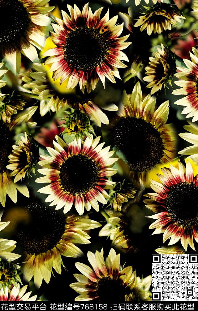 丝巾女装家纺花卉时尚数码印花华亿平台下载（图片编号: 768158） - 瓦栏（Walan）