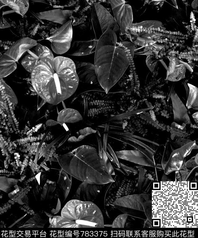 男装T桖男装潮流时尚卫衣商务男装数码印花华亿平台下载（图片编号: 783375） - 瓦栏（Walan）