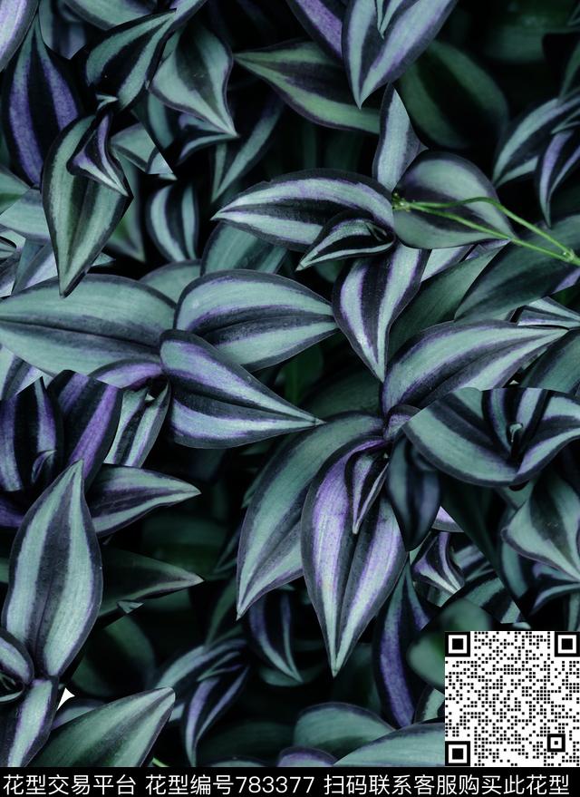 男装T桖男装潮流时尚卫衣商务男装数码印花华亿平台下载（图片编号: 783377） - 瓦栏（Walan）