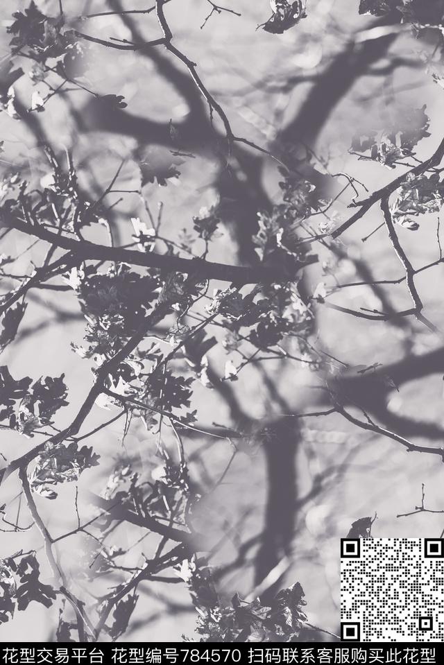 黑白照片枯树数码印花华亿平台下载（图片编号: 784570） - 瓦栏（Walan）