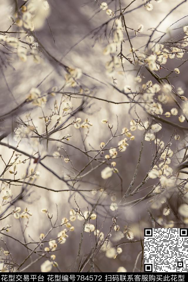 桃花照片花数码印花华亿平台下载（图片编号: 784572） - 瓦栏（Walan）