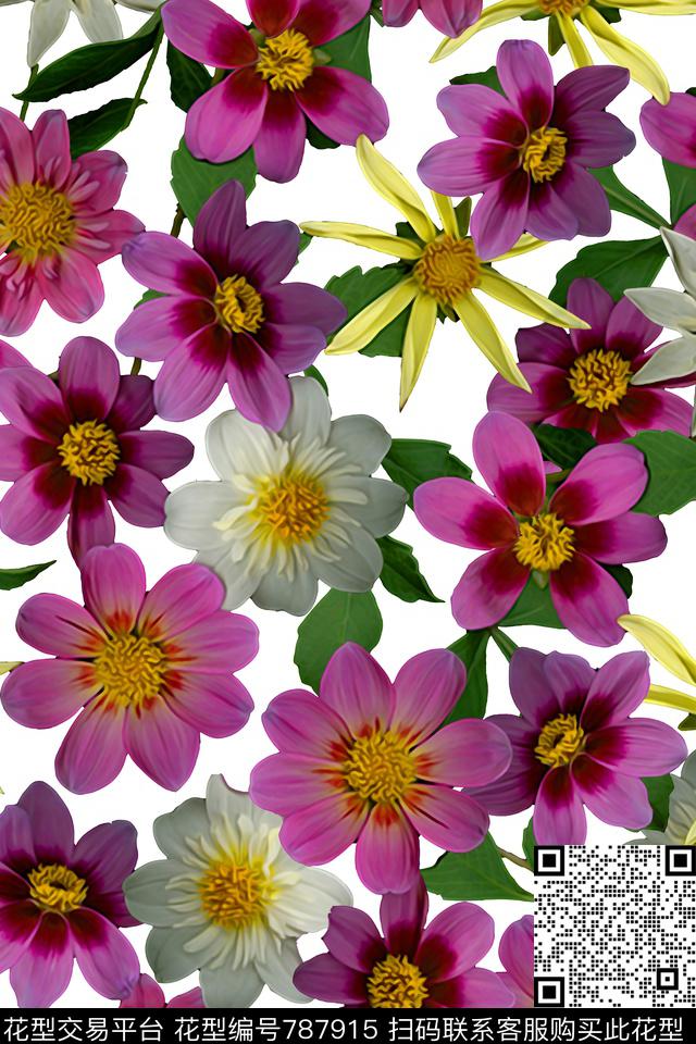 17年流行休闲风女装裙子泳衣夹克外套印花数码印花华亿平台下载（图片编号: 787915） - 瓦栏（Walan）