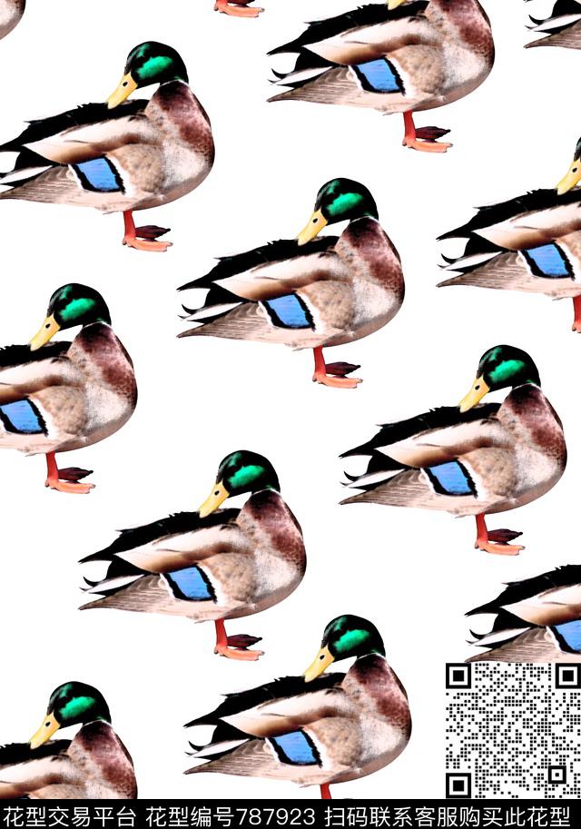 鸭子时尚动物图案女装图案传统印花华亿平台下载（图片编号: 787923） - 瓦栏（Walan）