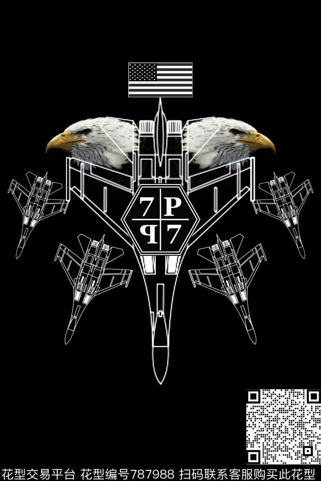 大牌老鹰飞机数码印花华亿平台下载（图片编号: 787988） - 瓦栏（Walan）