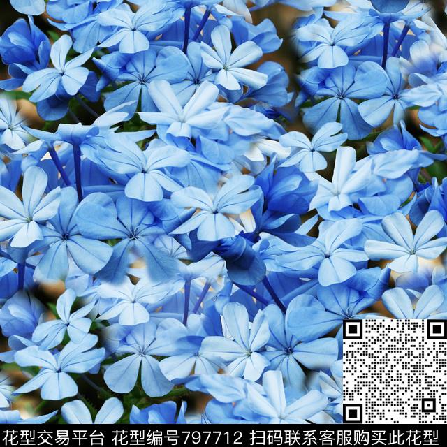 花卉蓝色花写实花卉数码印花华亿平台下载（图片编号: 797712） - 瓦栏（Walan）