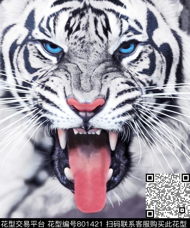 白虎数码女装数码印花华亿平台下载（图片编号: 801421） - 瓦栏（Walan）