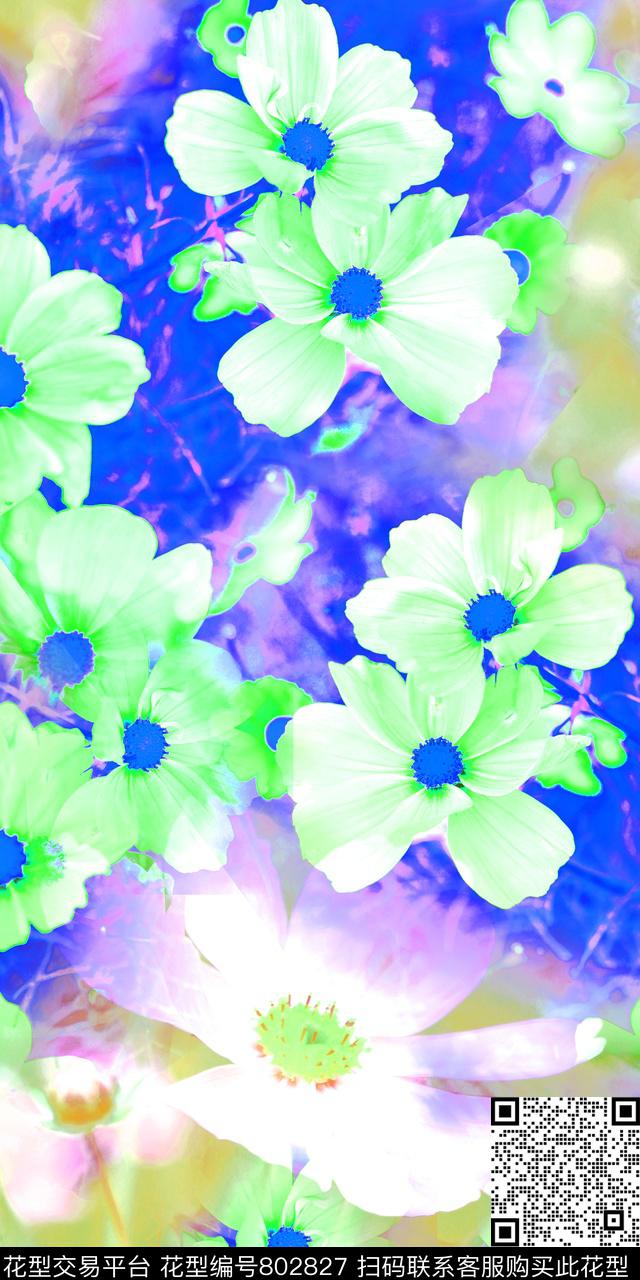 花朵花卉菊花数码印花华亿平台下载（图片编号: 802827） - 瓦栏（Walan）