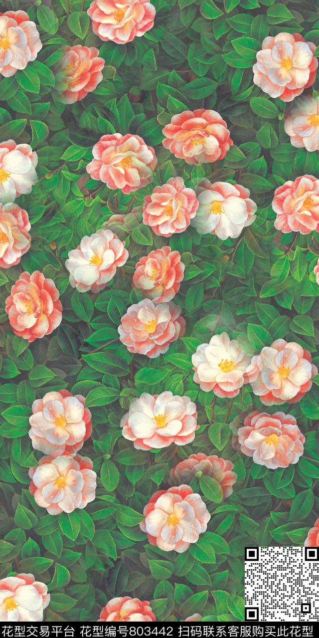 牡丹玉兰花莲花数码印花华亿平台下载（图片编号: 803442） - 瓦栏（Walan）