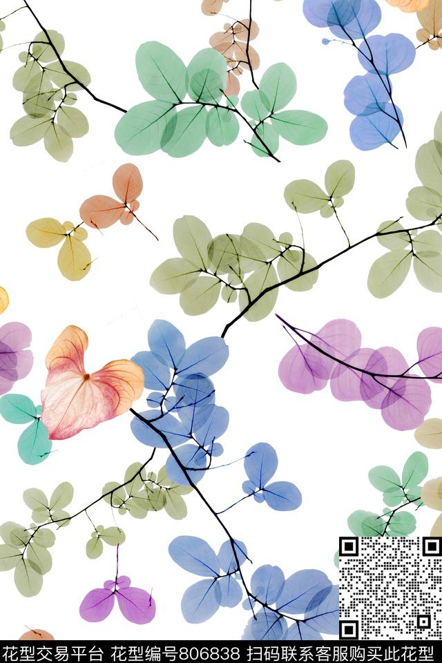 叶子透明圆形数码印花华亿平台下载（图片编号: 806838） - 瓦栏（Walan）