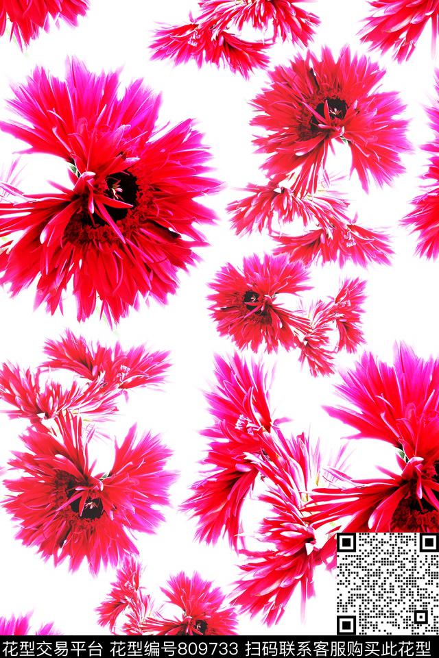 菊花花朵花卉数码印花华亿平台下载（图片编号: 809733） - 瓦栏（Walan）
