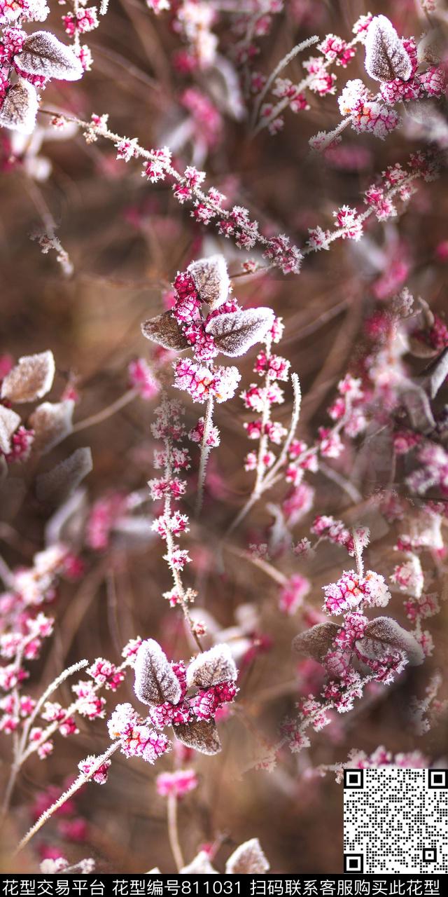 水彩花卉数码数码印花华亿平台下载（图片编号: 811031） - 瓦栏（Walan）