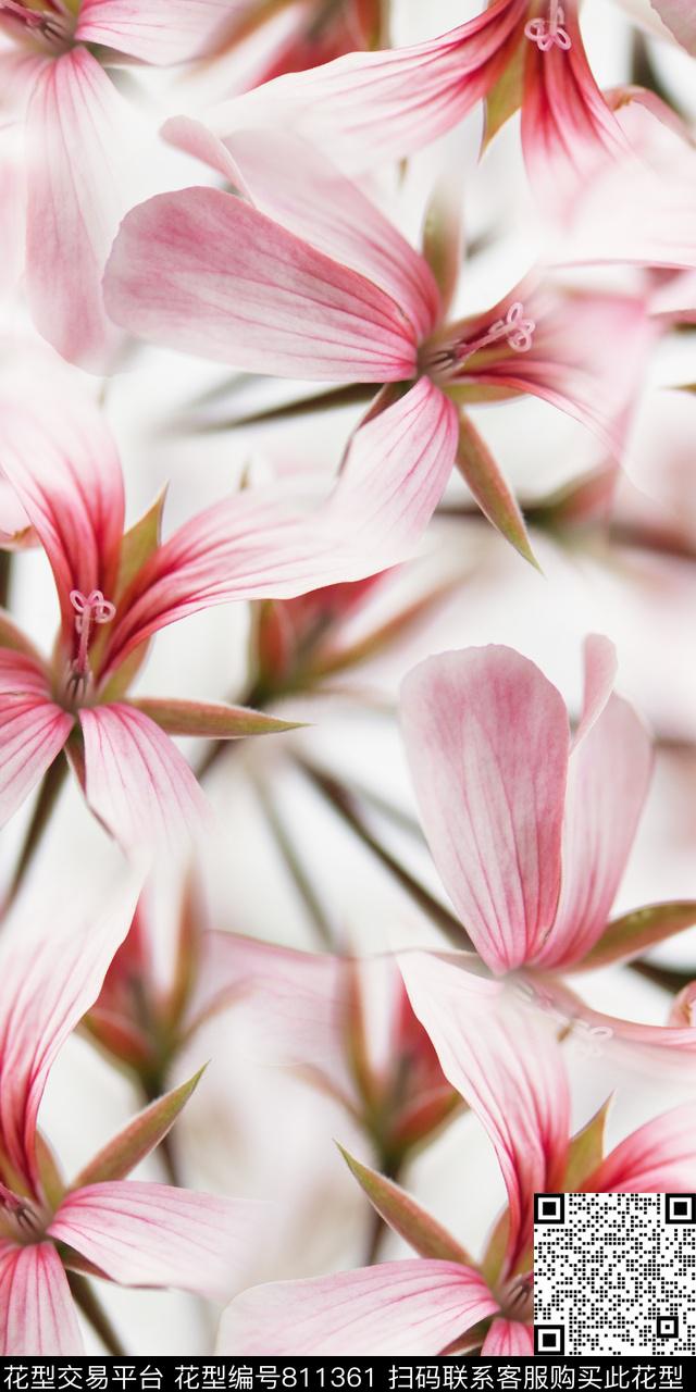 花卉满版花乱花数码印花华亿平台下载（图片编号: 811361） - 瓦栏（Walan）