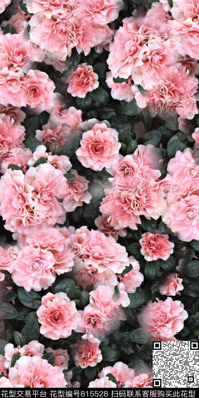 牵牛花雏菊牡丹数码印花华亿平台下载（图片编号: 815528） - 瓦栏（Walan）