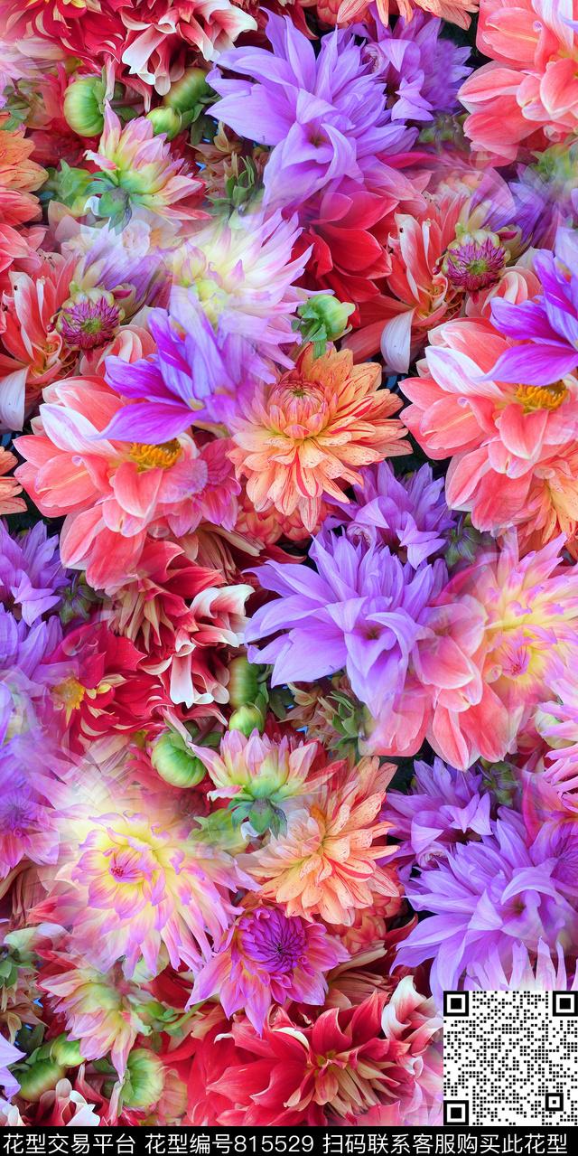 牵牛花雏菊牡丹数码印花华亿平台下载（图片编号: 815529） - 瓦栏（Walan）