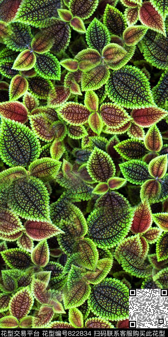 花卉数码印花树叶纹路数码印花华亿平台下载（图片编号: 822834） - 瓦栏（Walan）