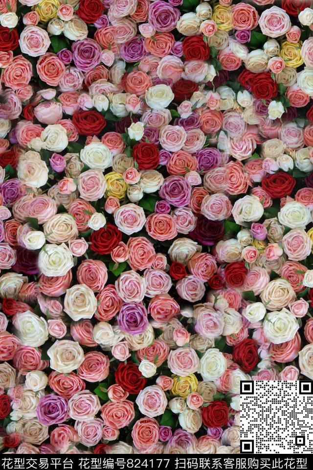玫瑰花华亿平台花卉数码印花华亿平台下载（图片编号: 824177） - 瓦栏（Walan）