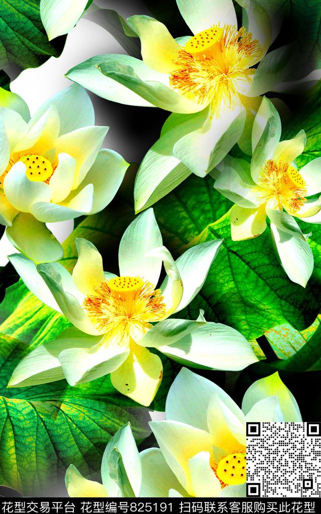 荷花兰花花朵数码印花华亿平台下载（图片编号: 825191） - 瓦栏（Walan）