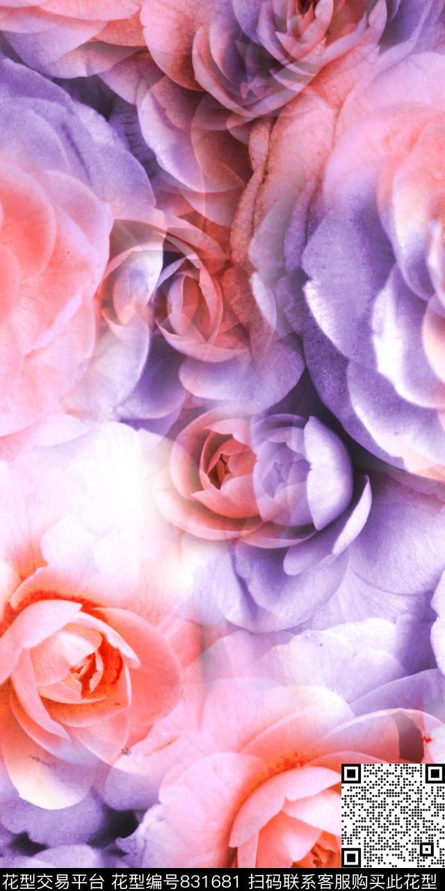 大花花朵玫瑰数码印花华亿平台下载（图片编号: 831681） - 瓦栏（Walan）