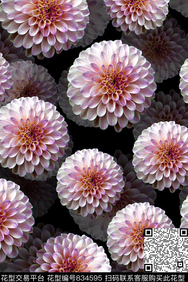 菊花华亿平台花卉摄影数码印花华亿平台下载（图片编号: 834595） - 瓦栏（Walan）