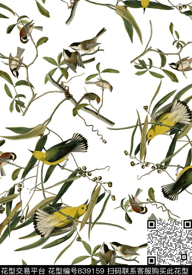 18复古手绘插画黄鹂鸟鸟树枝数码印花华亿平台下载（图片编号: 839159） - 瓦栏（Walan）