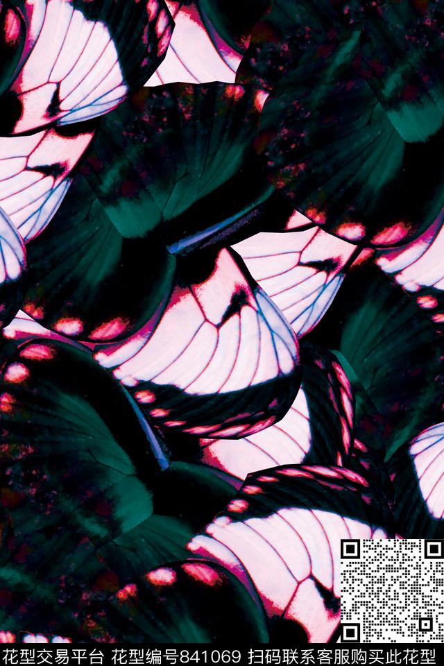 蝶翼斑斓绚丽数码印花华亿平台下载（图片编号: 841069） - 瓦栏（Walan）