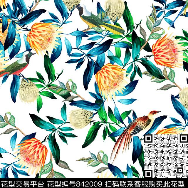 帝王花花卉小鸟数码印花华亿平台下载（图片编号: 842009） - 瓦栏（Walan）