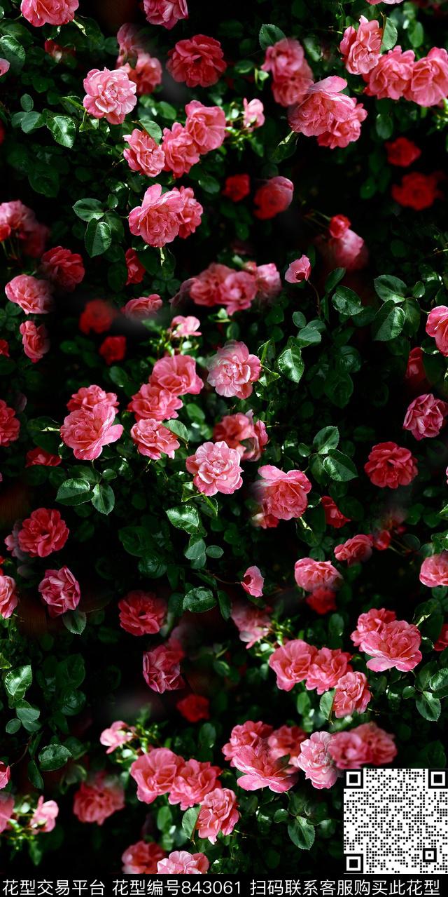 乱花花朵花卉数码印花华亿平台下载（图片编号: 843061） - 瓦栏（Walan）