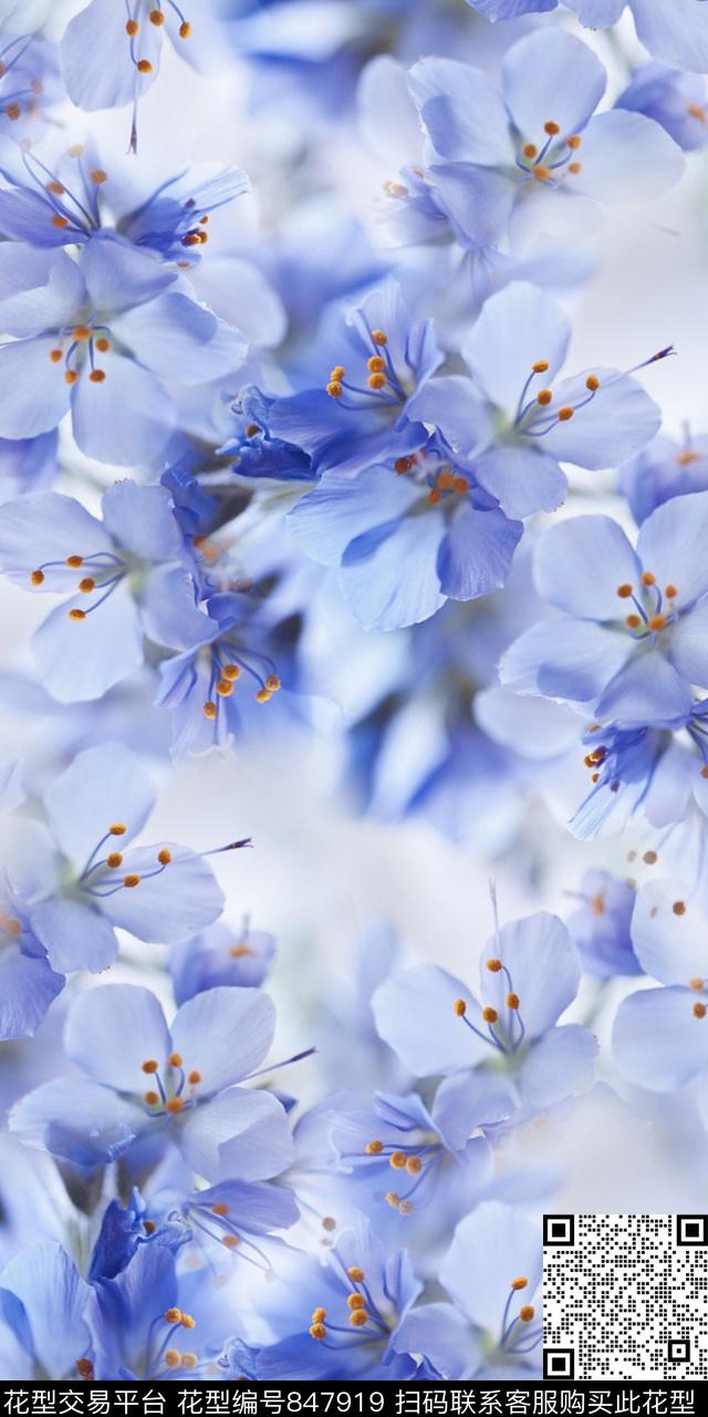 乱花花朵花卉数码印花华亿平台下载（图片编号: 847919） - 瓦栏（Walan）