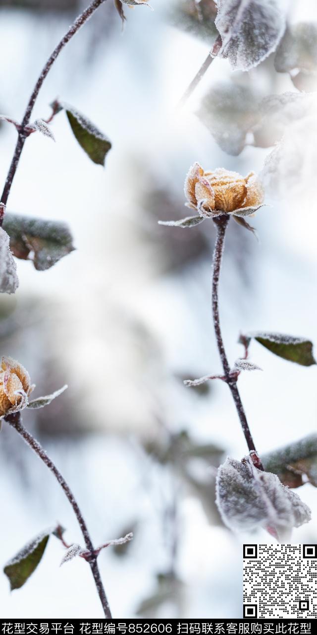 绿叶花朵花卉数码印花华亿平台下载（图片编号: 852606） - 瓦栏（Walan）