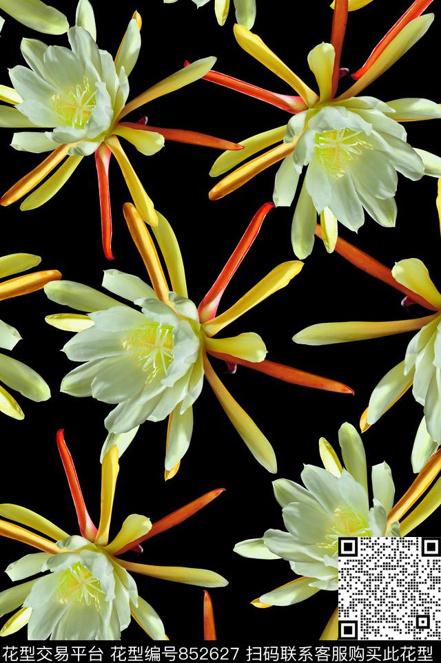 女装时尚花卉数码印花华亿平台下载（图片编号: 852627） - 瓦栏（Walan）