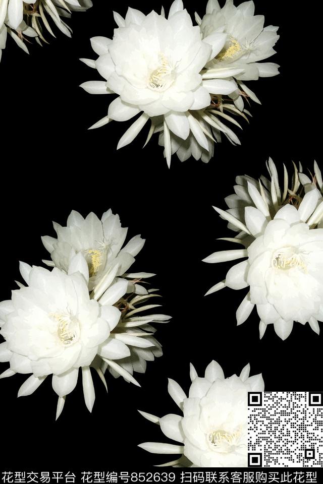 女装时尚花卉数码印花华亿平台下载（图片编号: 852639） - 瓦栏（Walan）