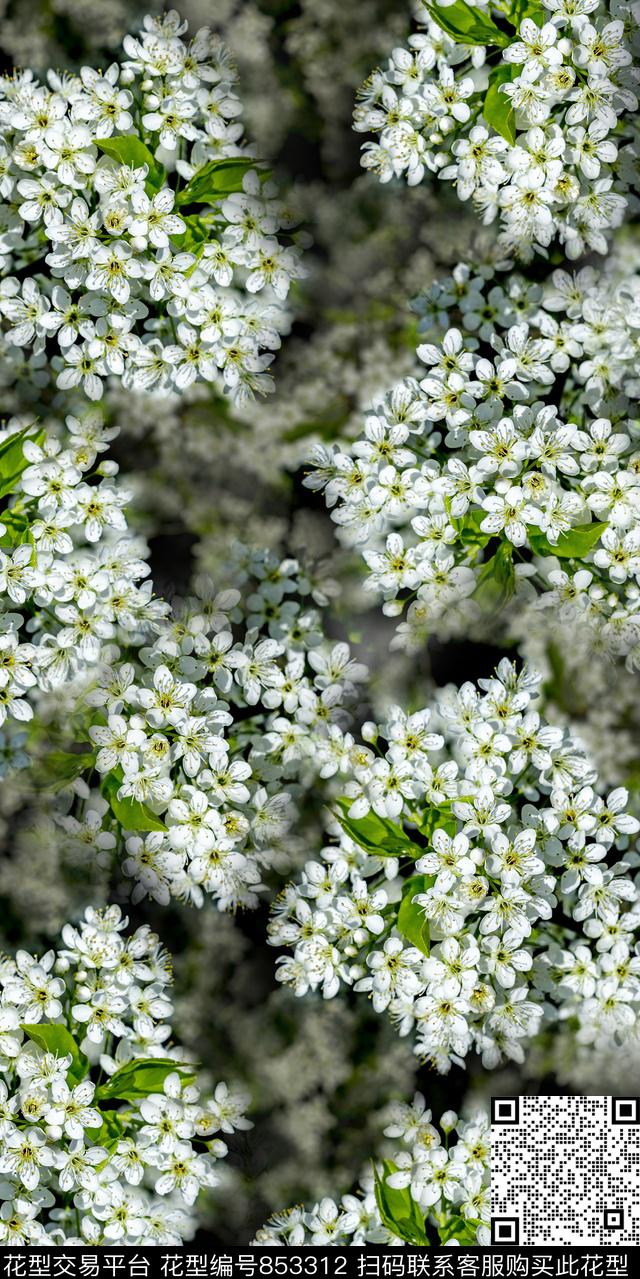 蒲公英康乃馨小碎花数码印花华亿平台下载（图片编号: 853312） - 瓦栏（Walan）