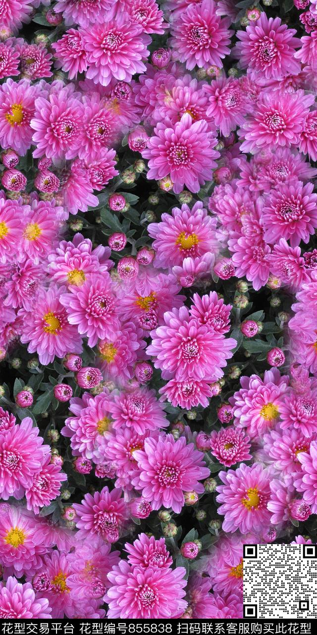 兰花乱花雏菊数码印花华亿平台下载（图片编号: 855838） - 瓦栏（Walan）